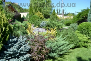 landshaft-dizain-dnepr (1)